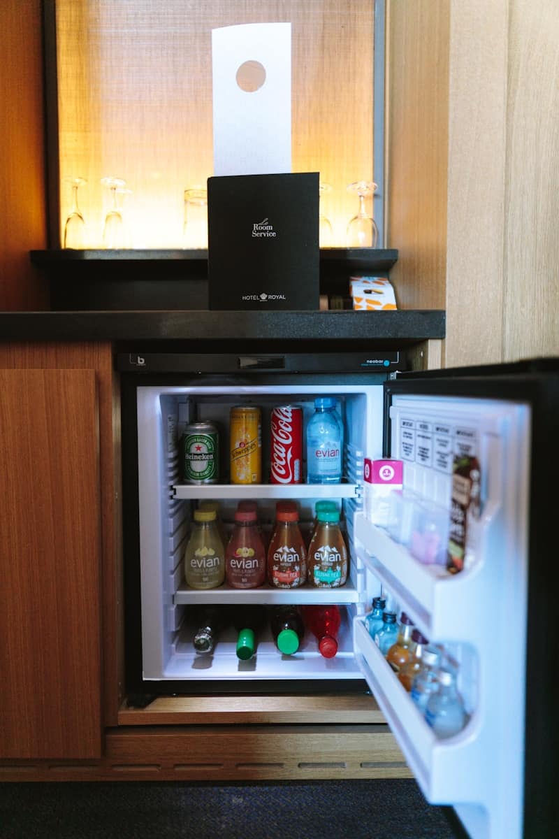 Mini Refrigerator