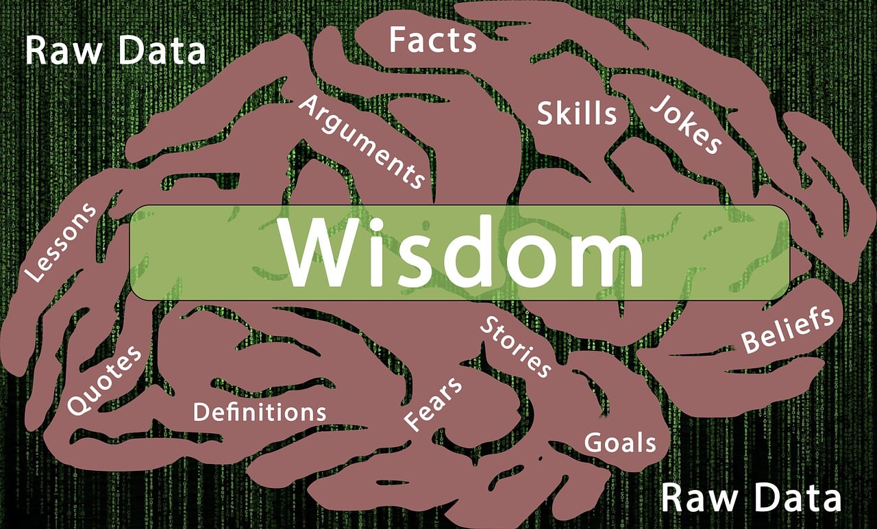 information processing, wisdom, facts