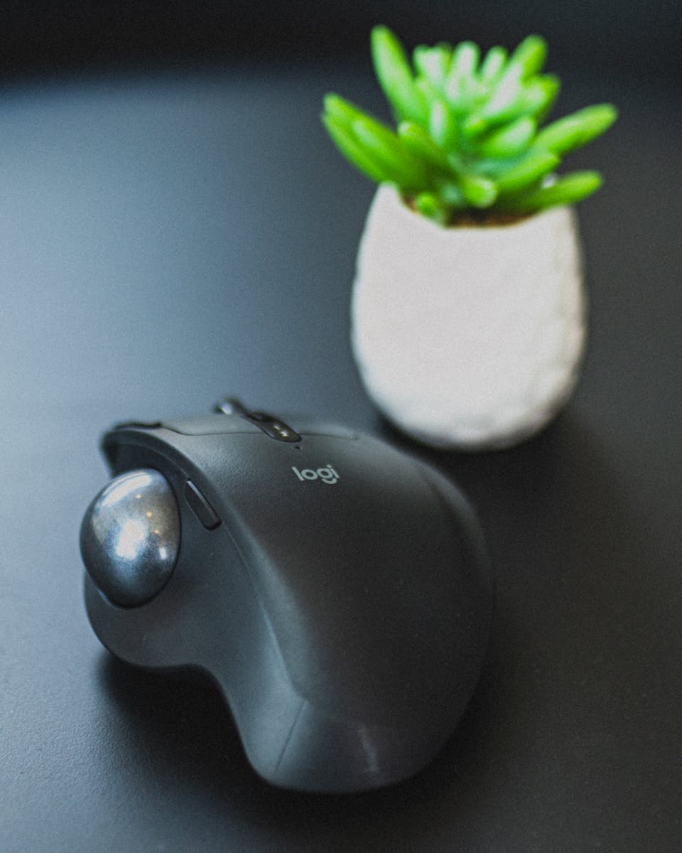 A sleek wireless mouse next to a vibrant succulent plant, ideal for tech-styled workspaces.