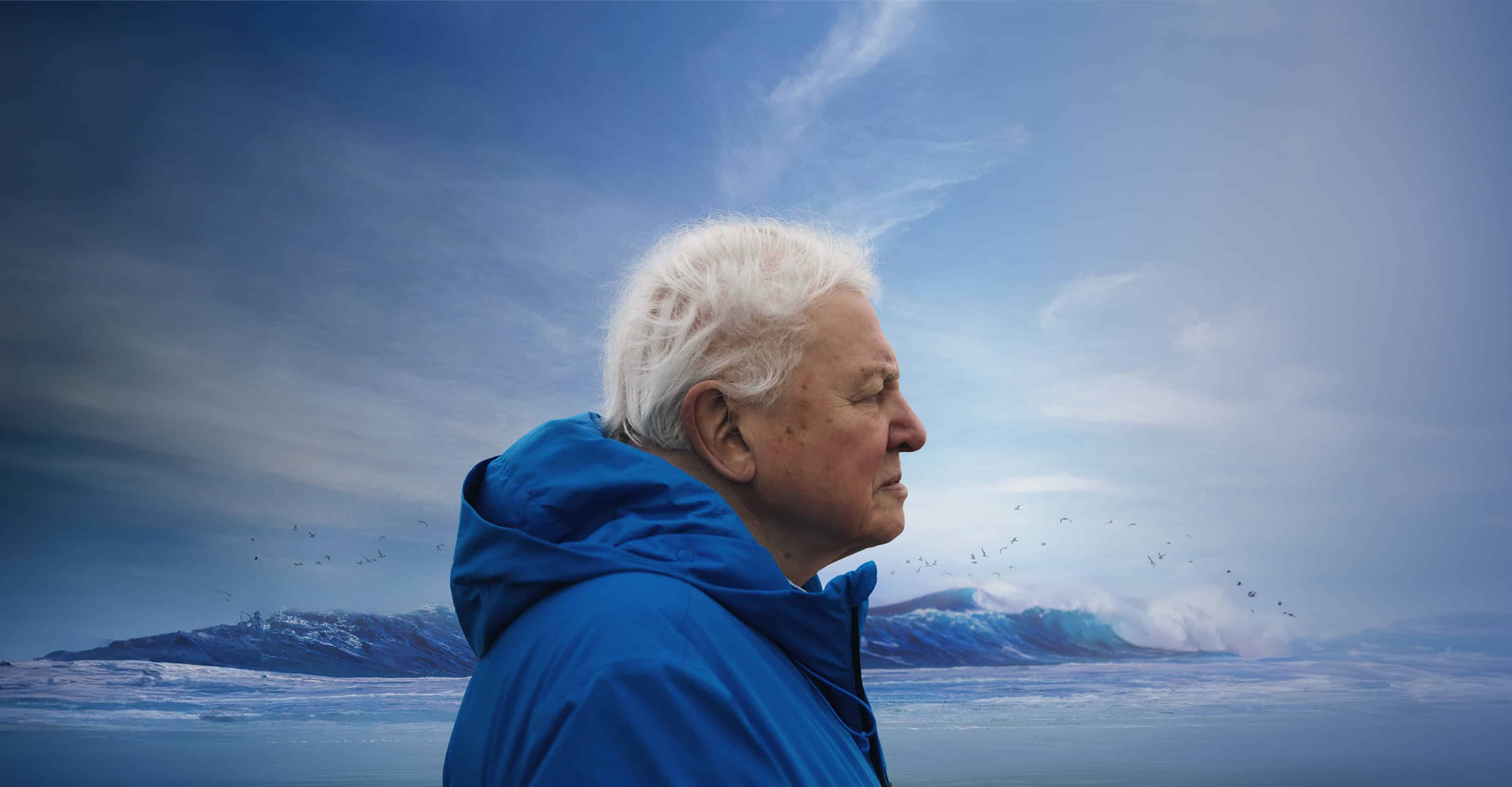 Ocean with David Attenborough | Official Website | 8 May 2025