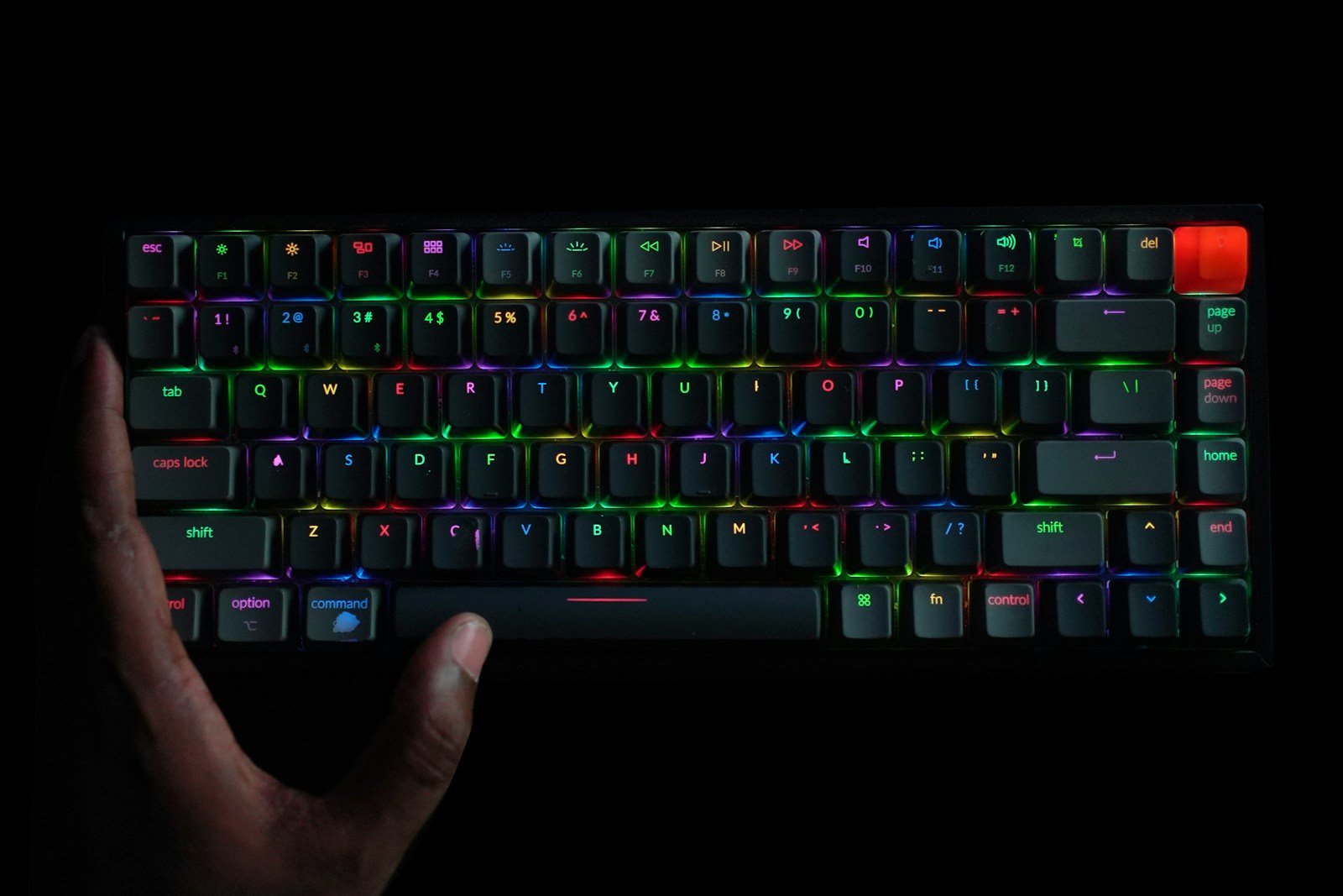 a person holding a keyboard