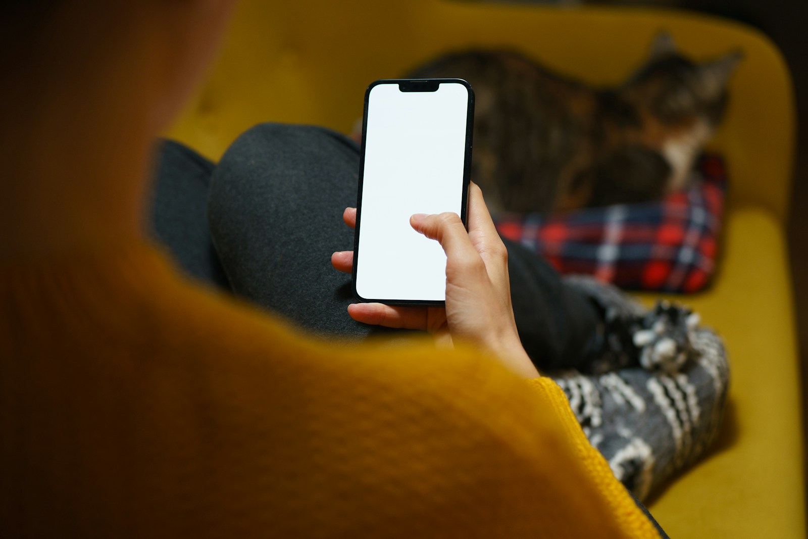 A person sitting on a couch holding a cell phone