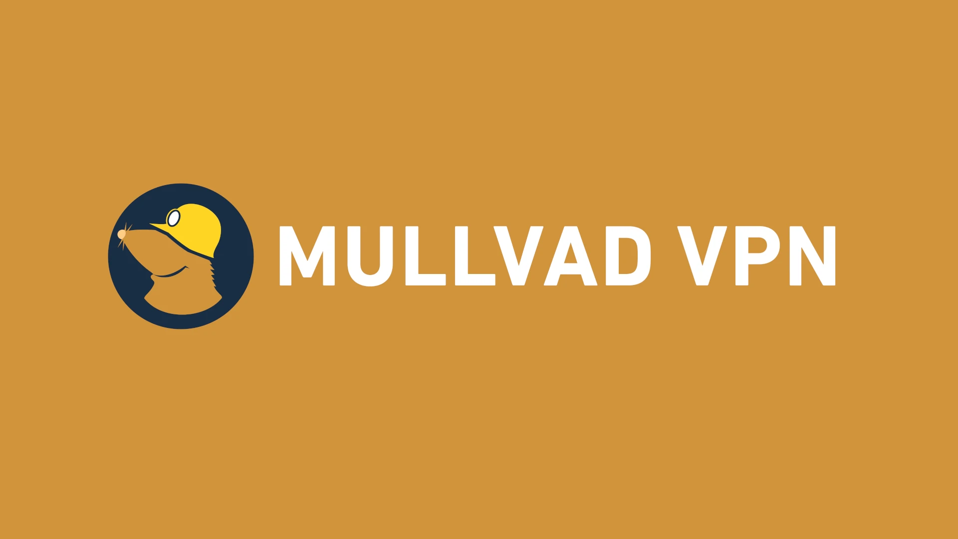 Mullvad VPN