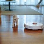 white short coated small dog on brown wooden floor