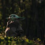 green bird on brown jacket